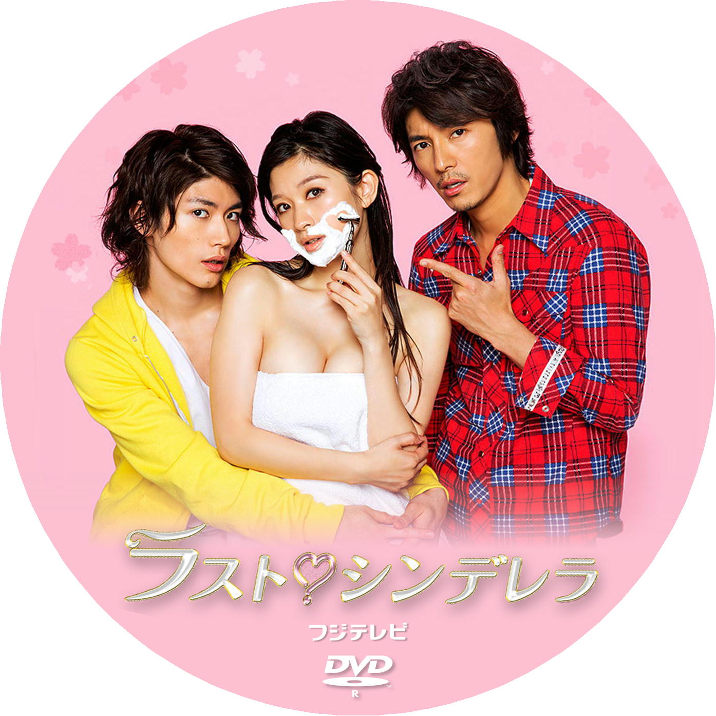 ラストシンデレラ DVD菜々緒 - TVドラマ