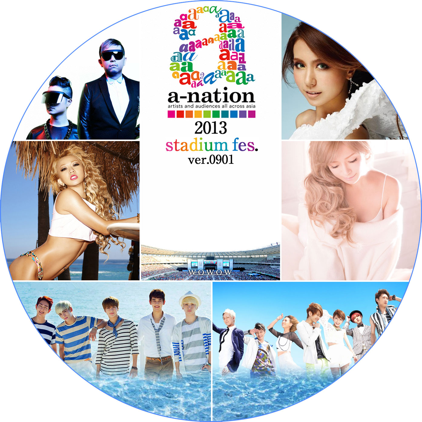 a-nation 2013 DVDラベル