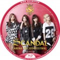 SCANDAL AREANA LIVE 2014 BD Blu-lay ラベル WOWOW